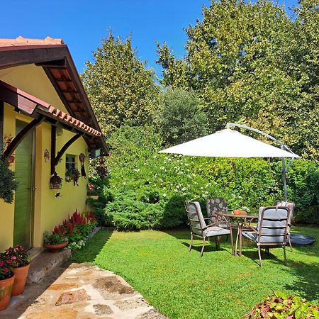 Quinta De Carcavelos Agroturismo E Enoturismo Celorico De Basto Luaran gambar