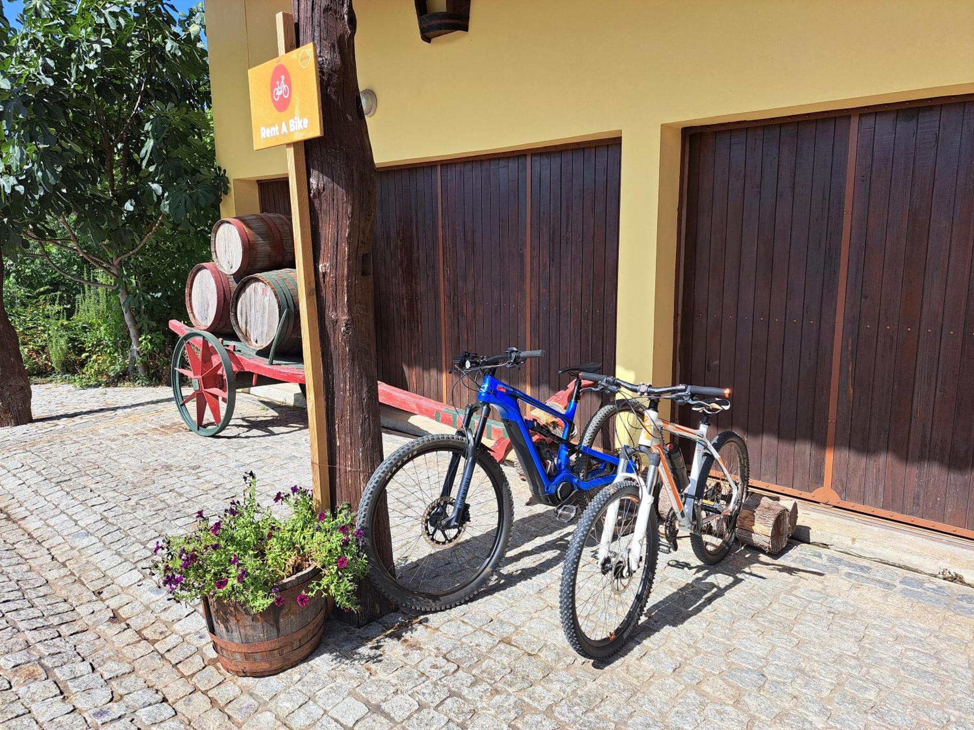 Quinta De Carcavelos Agroturismo E Enoturismo Celorico De Basto Luaran gambar